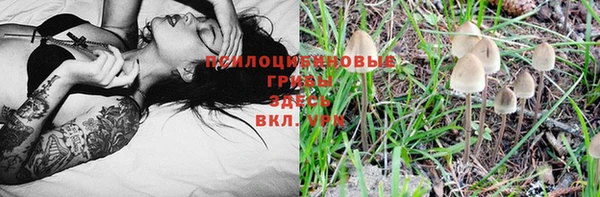 ECSTASY Арсеньев