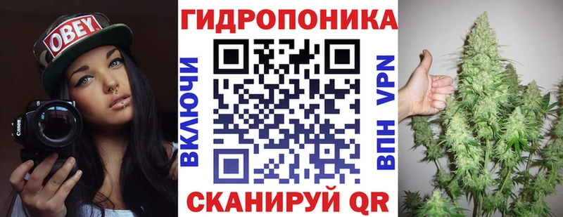 где найти наркотики  ссылка на мегу зеркало  нарко площадка клад  Няндома  Бошки Шишки индика 